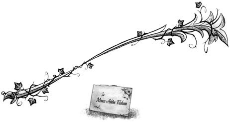 Иллюстрация к книге — Остановите Айви Покет! [i_057.jpg]