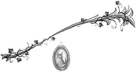 Иллюстрация к книге — Остановите Айви Покет! [i_060.jpg]