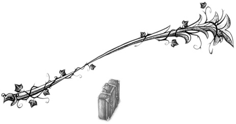 Иллюстрация к книге — Остановите Айви Покет! [i_083.jpg]