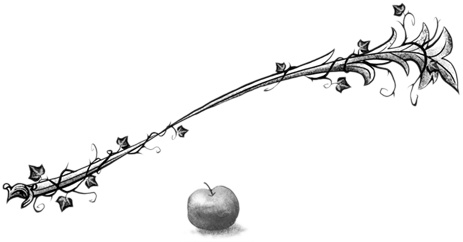 Иллюстрация к книге — Остановите Айви Покет! [i_087.jpg]