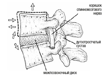 Иллюстрация к книге — Настольная книга для тех, у кого болит спина [i_014.jpg]