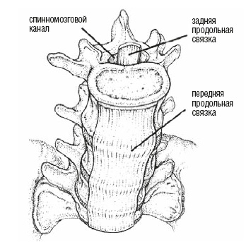 Иллюстрация к книге — Настольная книга для тех, у кого болит спина [i_017.jpg]