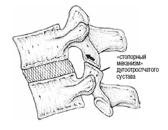 Иллюстрация к книге — Настольная книга для тех, у кого болит спина [i_026.jpg]