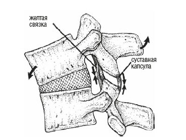 Иллюстрация к книге — Настольная книга для тех, у кого болит спина [i_027.jpg]