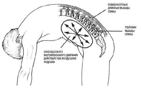 Иллюстрация к книге — Настольная книга для тех, у кого болит спина [i_031.jpg]