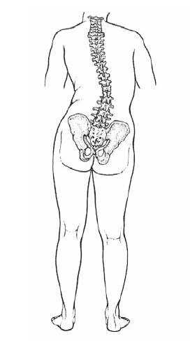 Иллюстрация к книге — Настольная книга для тех, у кого болит спина [i_042.jpg]