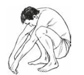 Иллюстрация к книге — Настольная книга для тех, у кого болит спина [i_060.jpg]