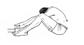 Иллюстрация к книге — Настольная книга для тех, у кого болит спина [i_063.jpg]