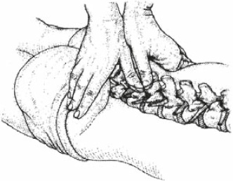 Иллюстрация к книге — Настольная книга для тех, у кого болит спина [i_071.jpg]