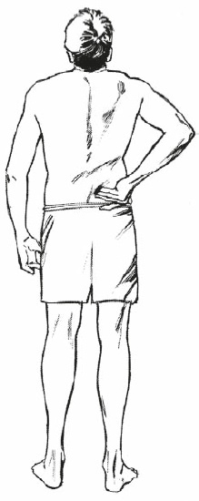 Иллюстрация к книге — Настольная книга для тех, у кого болит спина [i_080.jpg]