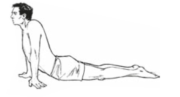 Иллюстрация к книге — Настольная книга для тех, у кого болит спина [i_090.jpg]