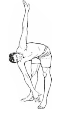 Иллюстрация к книге — Настольная книга для тех, у кого болит спина [i_101.jpg]