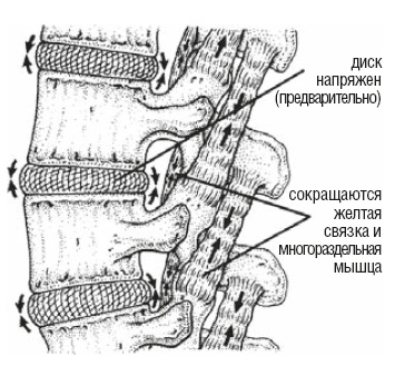 Иллюстрация к книге — Настольная книга для тех, у кого болит спина [i_105.jpg]