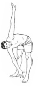 Иллюстрация к книге — Настольная книга для тех, у кого болит спина [i_128.jpg]