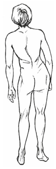 Иллюстрация к книге — Настольная книга для тех, у кого болит спина [i_144.jpg]