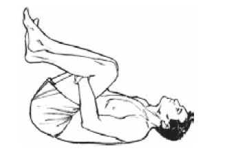 Иллюстрация к книге — Настольная книга для тех, у кого болит спина [i_180.jpg]