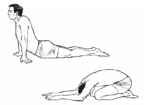 Иллюстрация к книге — Настольная книга для тех, у кого болит спина [i_195.jpg]