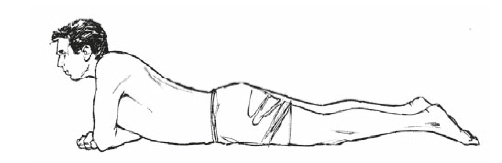 Иллюстрация к книге — Настольная книга для тех, у кого болит спина [i_196.jpg]