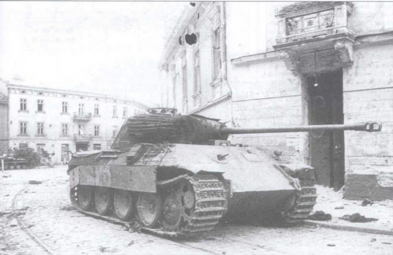 Иллюстрация к книге — «Черная кошка» Панцерваффе [img_83.jpg]