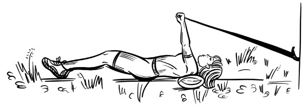 Иллюстрация к книге — 6 соток здоровья. Правильный отдых и восстановление круглый год [i_029.jpg]