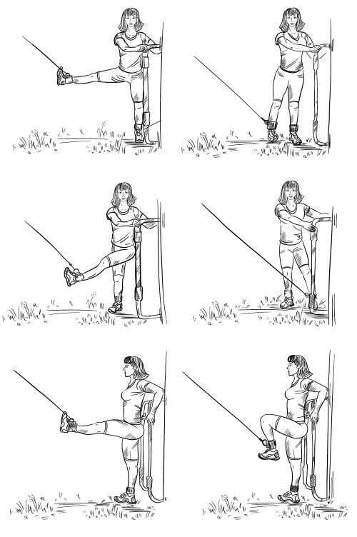 Иллюстрация к книге — 6 соток здоровья. Правильный отдых и восстановление круглый год [i_035.jpg]