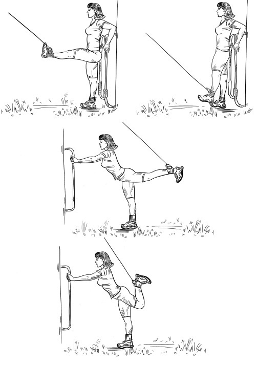 Иллюстрация к книге — 6 соток здоровья. Правильный отдых и восстановление круглый год [i_036.jpg]