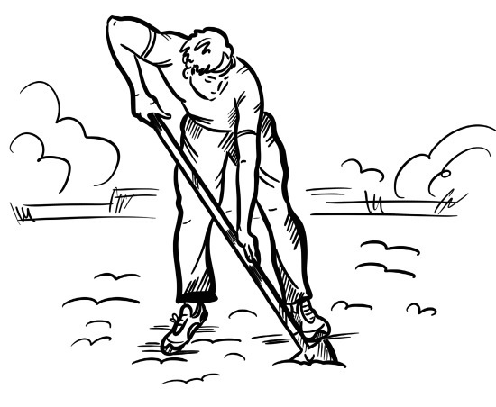 Иллюстрация к книге — 6 соток здоровья. Правильный отдых и восстановление круглый год [i_057.jpg]