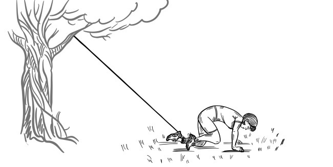 Иллюстрация к книге — 6 соток здоровья. Правильный отдых и восстановление круглый год [i_062.jpg]