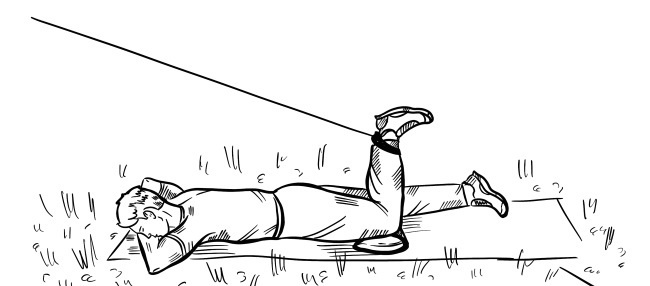 Иллюстрация к книге — 6 соток здоровья. Правильный отдых и восстановление круглый год [i_070.jpg]