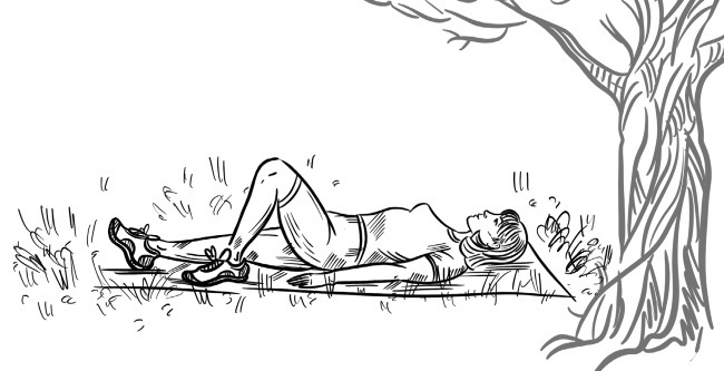 Иллюстрация к книге — 6 соток здоровья. Правильный отдых и восстановление круглый год [i_079.jpg]