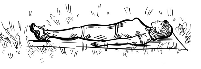 Иллюстрация к книге — 6 соток здоровья. Правильный отдых и восстановление круглый год [i_083.jpg]