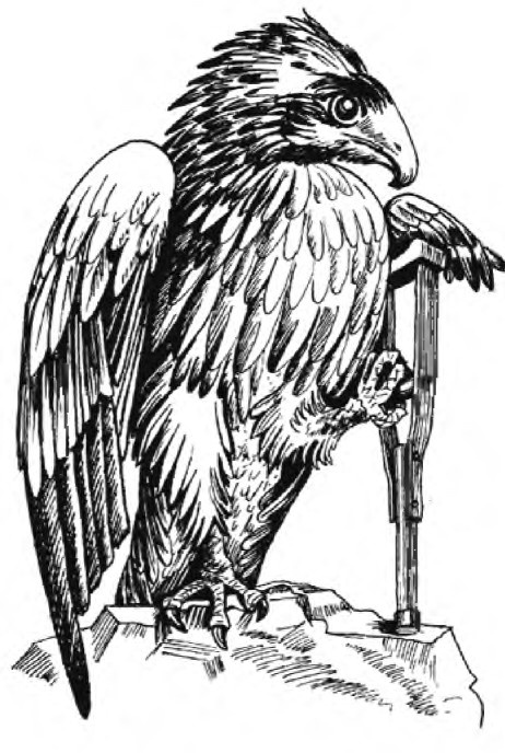 Иллюстрация к книге — Миллион решений для жизни. Ключ к вашему успеху [_28.jpg]