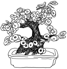 Иллюстрация к книге — Любое желание за 30 минут. Карта желаний. Быстрое исполнение желаний «золотыми» методами практического фэн-шуй [_113.jpg]