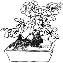 Иллюстрация к книге — Любое желание за 30 минут. Карта желаний. Быстрое исполнение желаний «золотыми» методами практического фэн-шуй [_114.jpg]