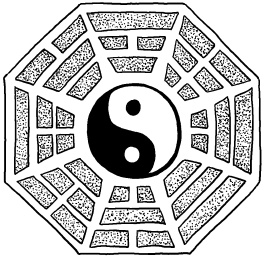 Иллюстрация к книге — Любое желание за 30 минут. Карта желаний. Быстрое исполнение желаний «золотыми» методами практического фэн-шуй [_125.jpg]