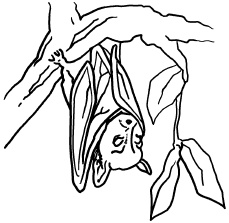 Иллюстрация к книге — Любое желание за 30 минут. Карта желаний. Быстрое исполнение желаний «золотыми» методами практического фэн-шуй [_20.jpg]