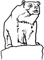 Иллюстрация к книге — Любое желание за 30 минут. Карта желаний. Быстрое исполнение желаний «золотыми» методами практического фэн-шуй [_21.jpg]