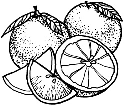 Иллюстрация к книге — Любое желание за 30 минут. Карта желаний. Быстрое исполнение желаний «золотыми» методами практического фэн-шуй [_40.jpg]