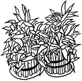 Иллюстрация к книге — Любое желание за 30 минут. Карта желаний. Быстрое исполнение желаний «золотыми» методами практического фэн-шуй [_42.jpg]