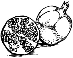 Иллюстрация к книге — Любое желание за 30 минут. Карта желаний. Быстрое исполнение желаний «золотыми» методами практического фэн-шуй [_44.jpg]