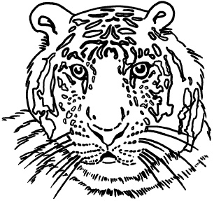 Иллюстрация к книге — Любое желание за 30 минут. Карта желаний. Быстрое исполнение желаний «золотыми» методами практического фэн-шуй [_46.jpg]