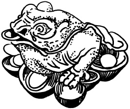 Иллюстрация к книге — Любое желание за 30 минут. Карта желаний. Быстрое исполнение желаний «золотыми» методами практического фэн-шуй [_57.jpg]