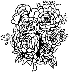 Иллюстрация к книге — Любое желание за 30 минут. Карта желаний. Быстрое исполнение желаний «золотыми» методами практического фэн-шуй [_63.jpg]