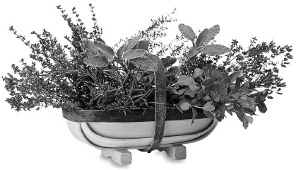 Иллюстрация к книге — Фэн-шуй на вашей кухне [i_002.jpg]