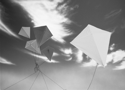 Иллюстрация к книге — Фэн-шуй на вашей кухне [i_003.jpg]