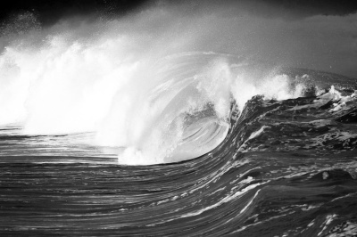 Иллюстрация к книге — Фэн-шуй на вашей кухне [i_010.jpg]