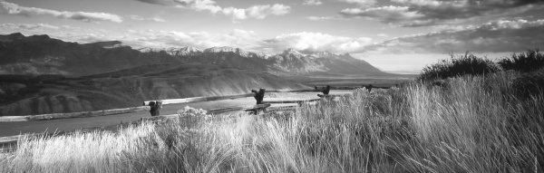 Иллюстрация к книге — Фэн-шуй на вашей кухне [i_011.jpg]