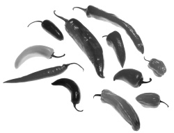 Иллюстрация к книге — Фэн-шуй на вашей кухне [i_032.jpg]