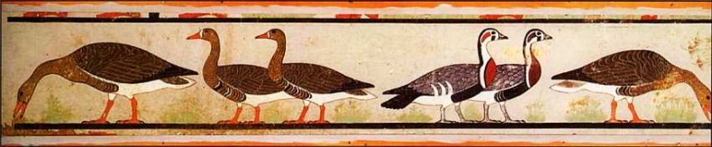 Иллюстрация к книге — Египетский музей [i_014.jpg]