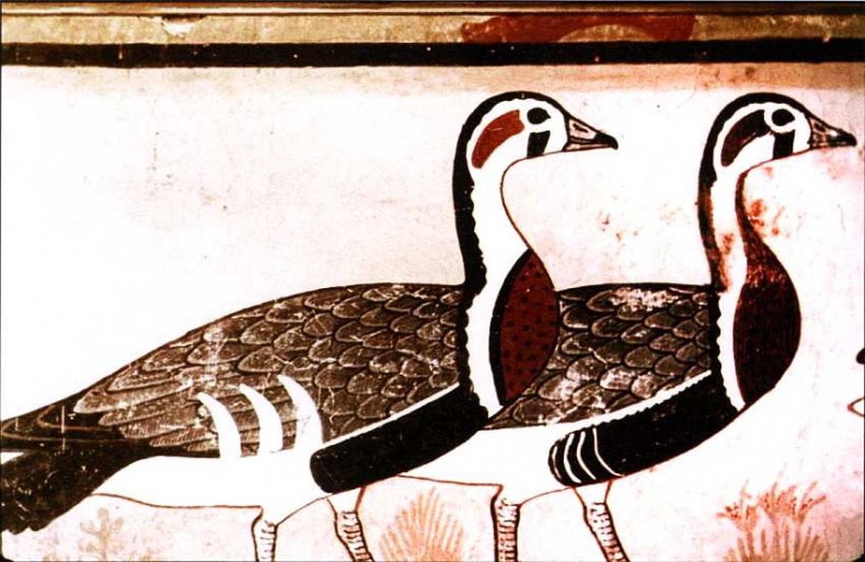 Иллюстрация к книге — Египетский музей [i_015.jpg]